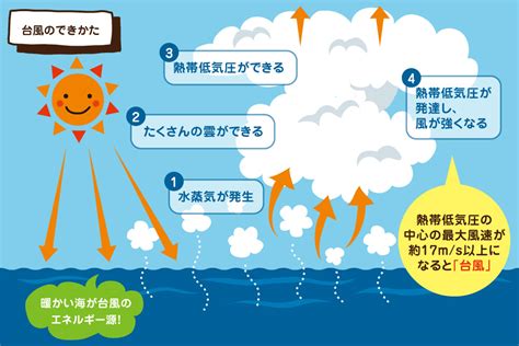 台風 水|台風とは